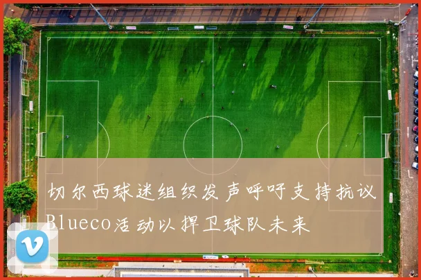 切尔西球迷组织发声呼吁支持抗议Blueco活动以捍卫球队未来