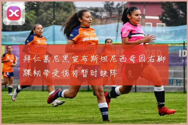 拜仁慕尼黑宣布斯坦尼西奇因右脚踝韧带受伤将暂时缺阵